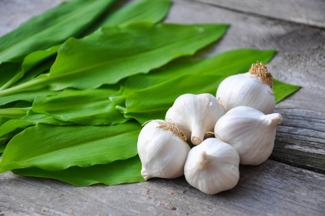 Garlic health benefits cardiovascular immune liver extract improves wellness remedies natural recipes living green purelife bio