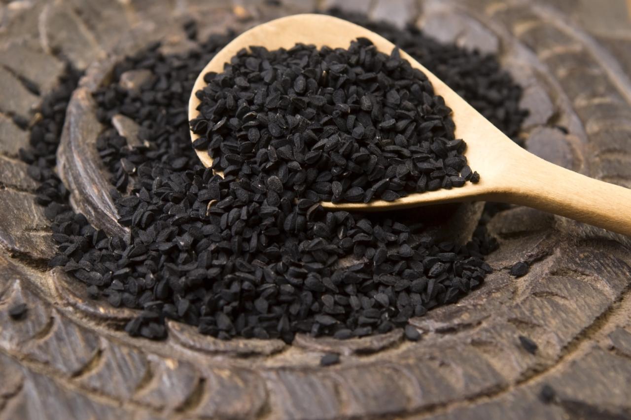 Cumin hitam jintan nigella sativa khasiat manfaat mengolah kesehatan kumin crni 5oz britannica