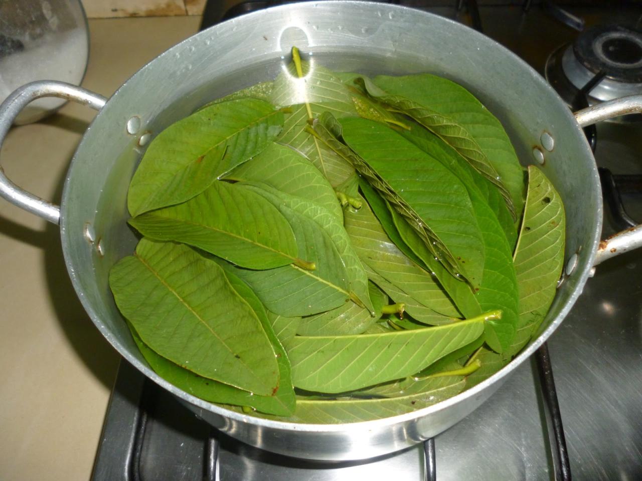 Manfaat air rebusan daun mangga