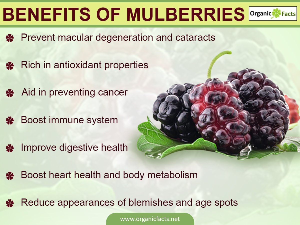 Manfaat daun mulberry