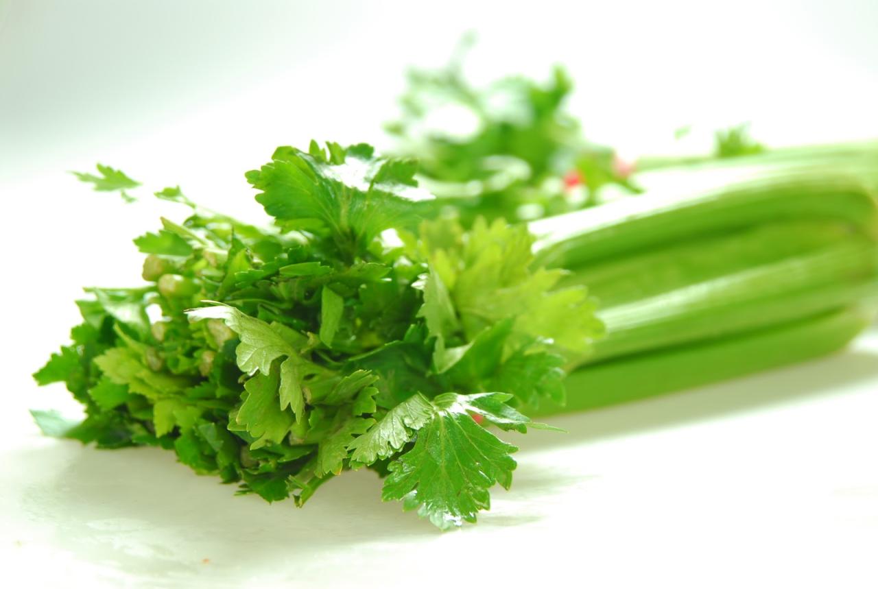 Celery chinese leaf leaves cuisines choy stock