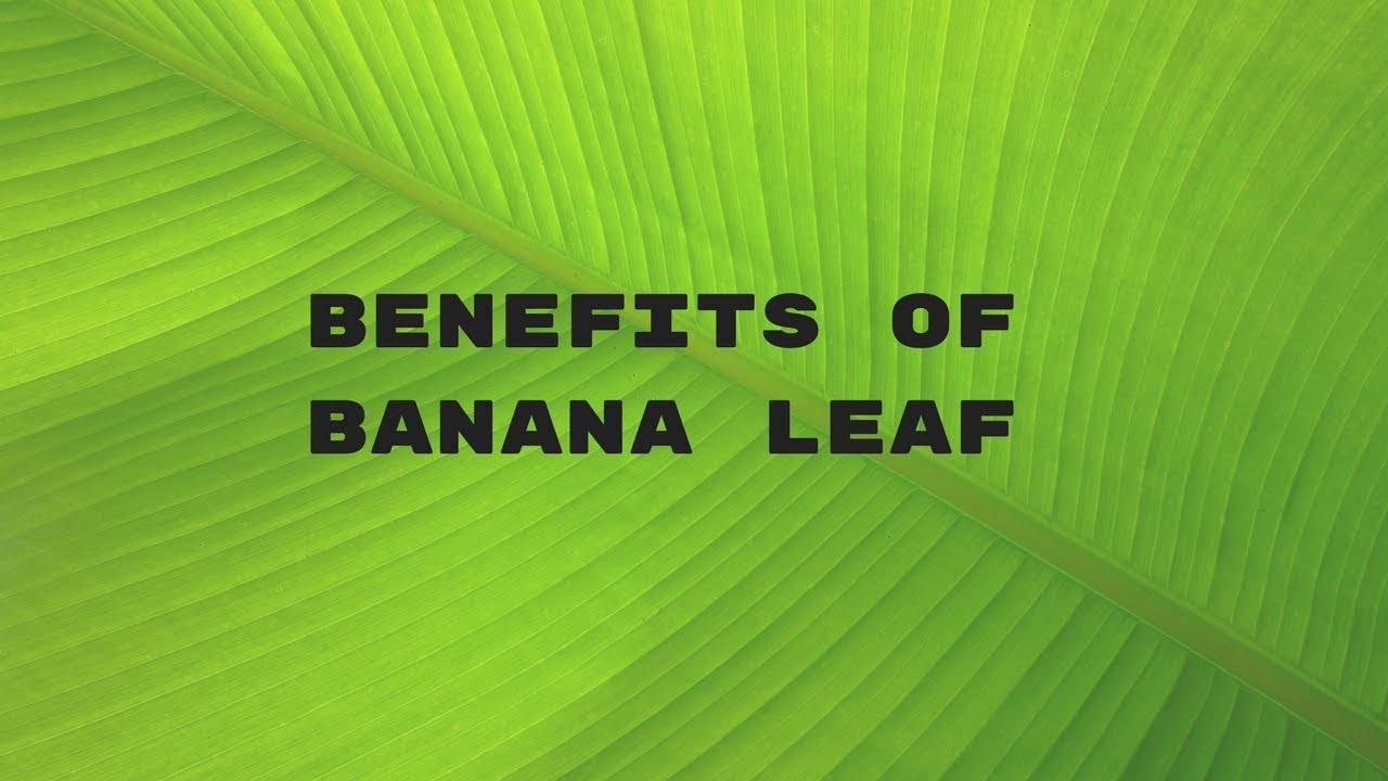 Banana leaf benefits eating