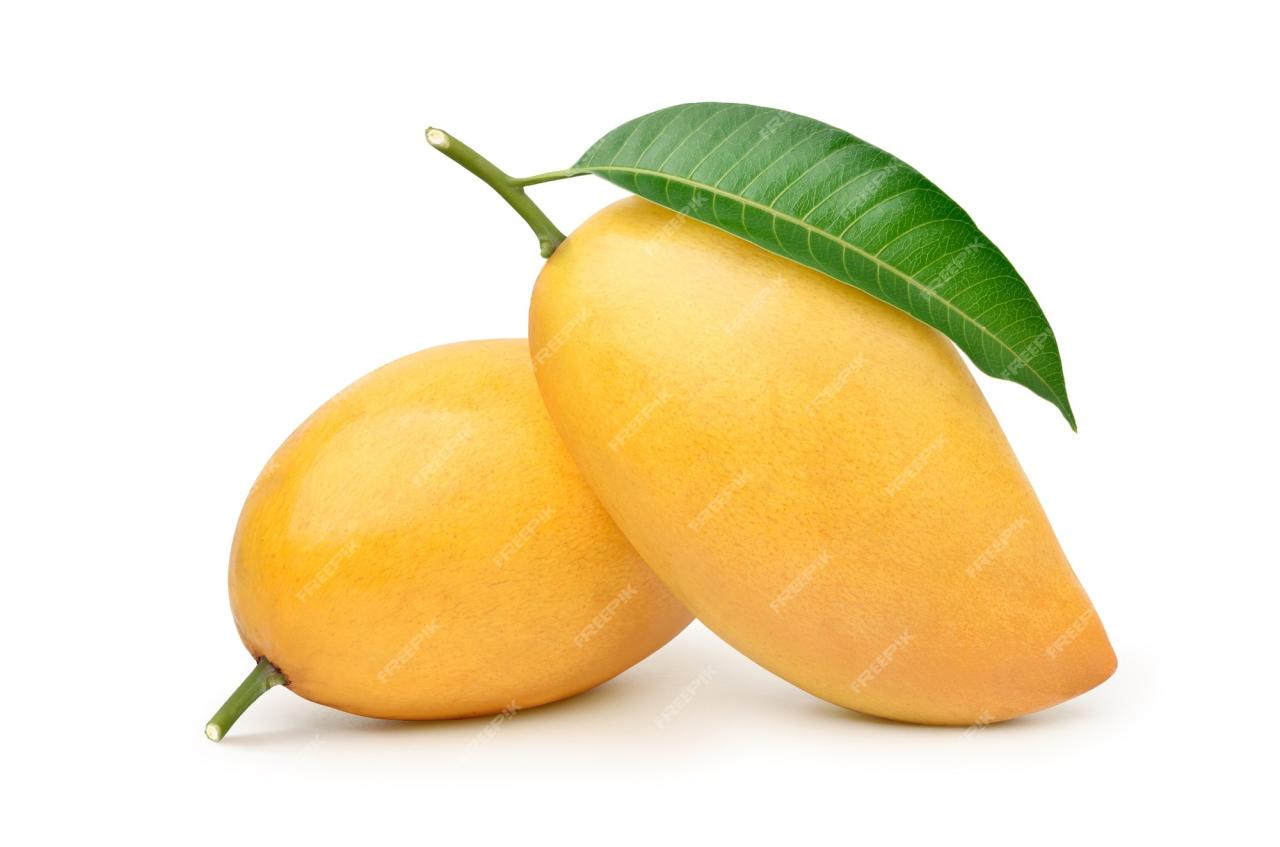 Mango diabetes miracle manage rd