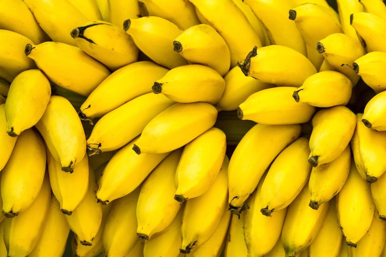 Bananas dietary potassium protein levels