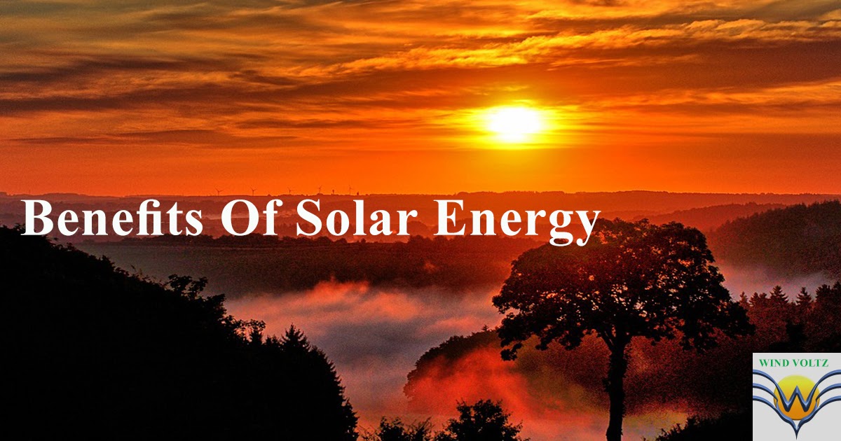 10 manfaat energi matahari bagi tumbuhan