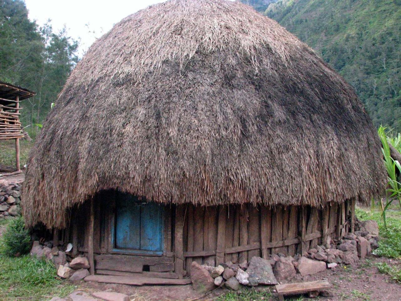 Rumah adat suku dani