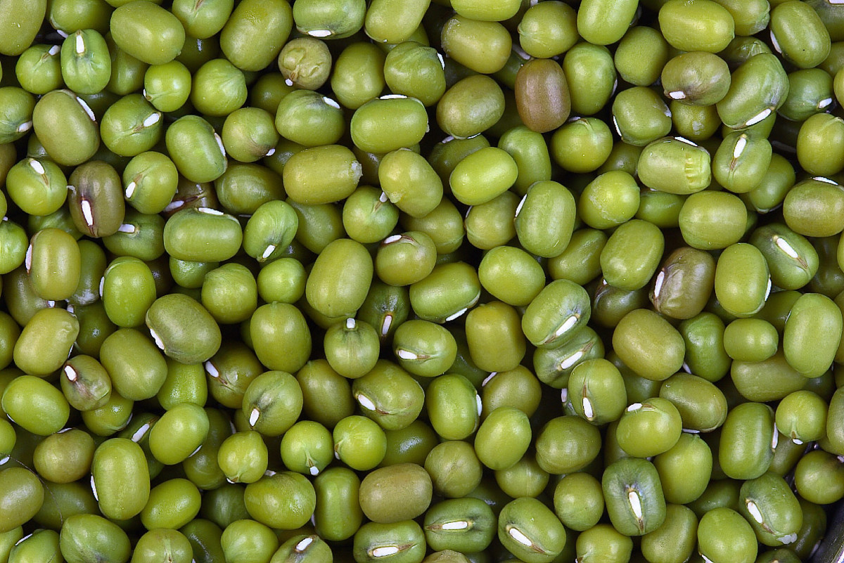 Beans mung green gram benefits nutritional health nutrition
