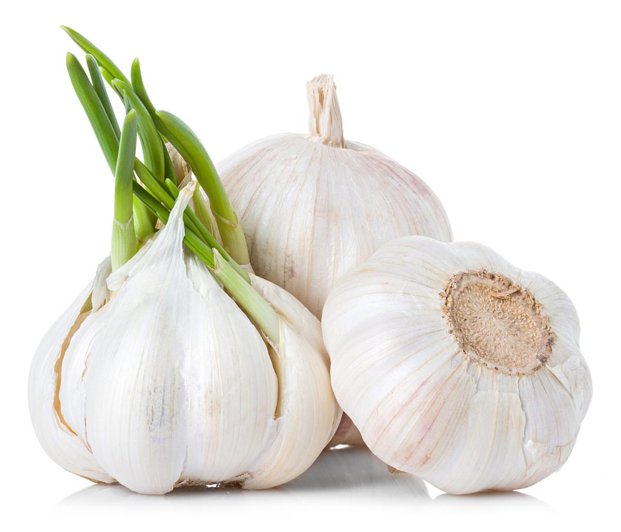 Garlic benefits health nutrition properties facts veggiesinfo