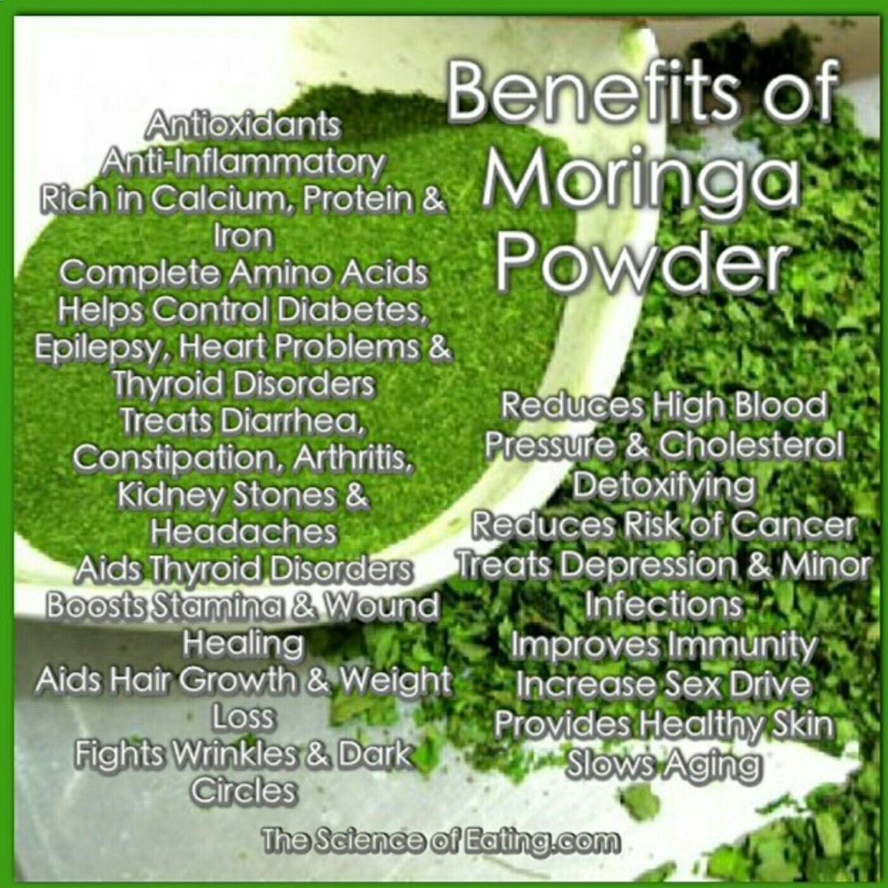 Moringa health