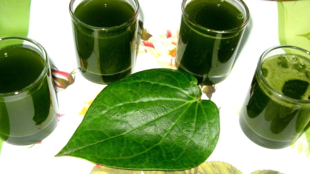 Turmeric tumeric herbs capsules medicinal oil spice spices arthritis dilaw luyang tagalog curcumin wellness cholesterol fitnish surprising herb inflammatory antioxidant