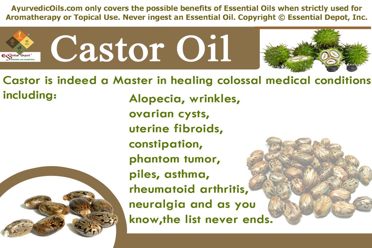 Castor olie uses wonder ricinus