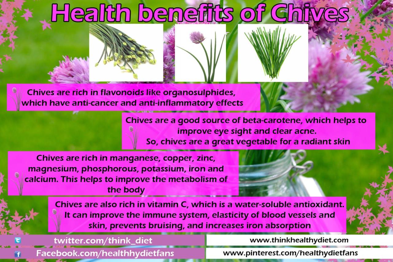 Chives daun kucai substitutes proven khasiat punya