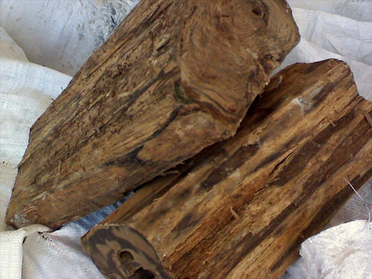 Cara menggunakan kayu gaharu untuk pengobatan