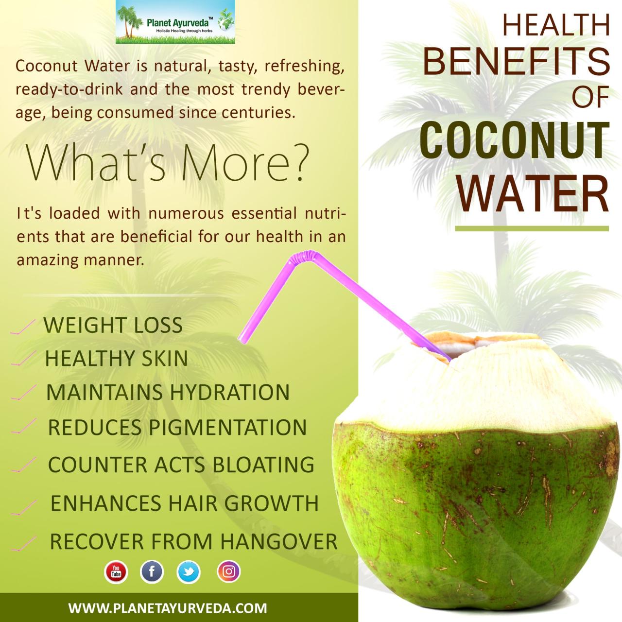 Manfaat air kelapa hijau untuk lambung