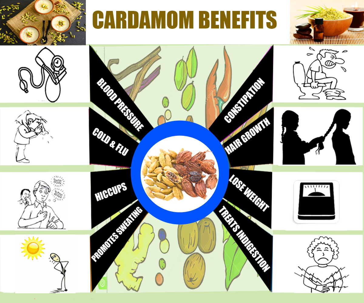 Cardamom benefits seeds pods powder zinc