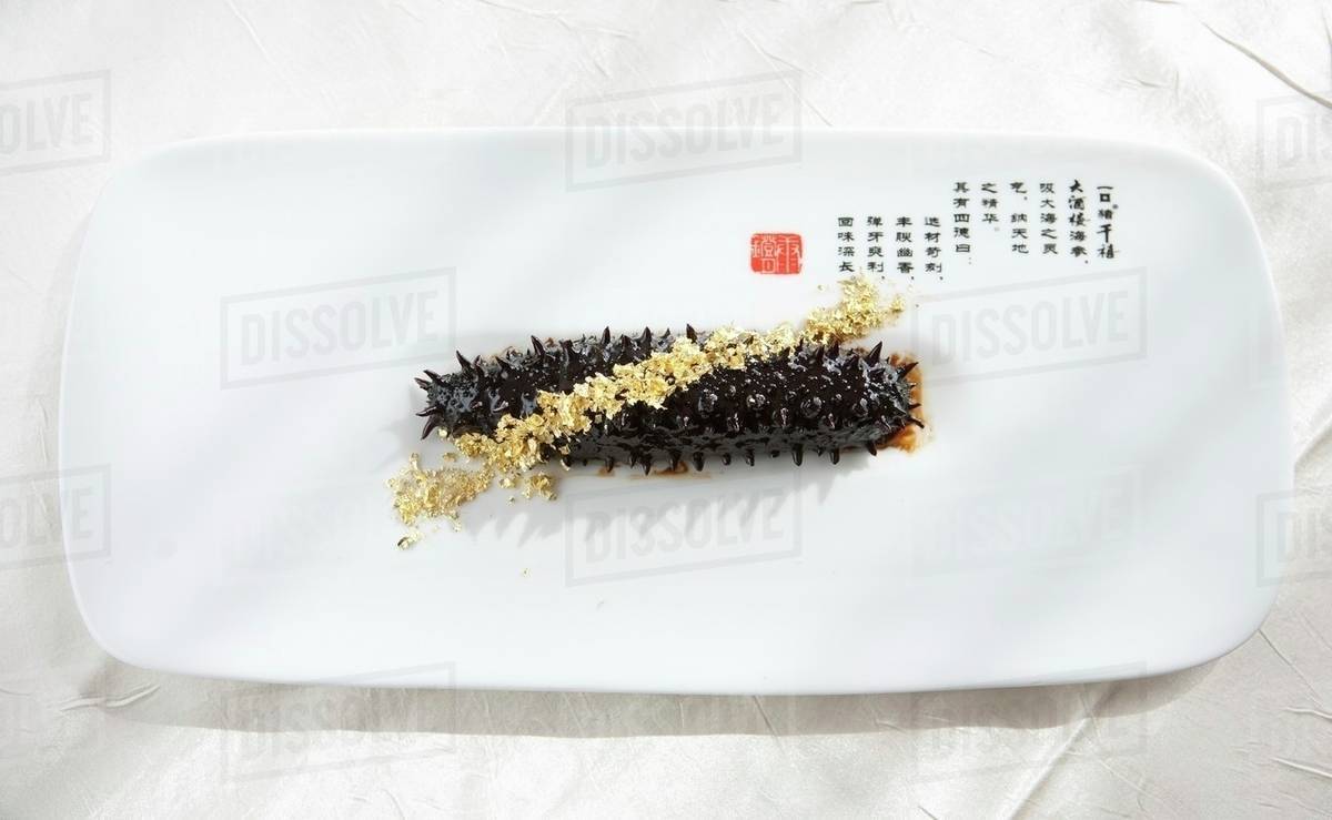 Sea cucumber gold 14cm expansion dried average length rate