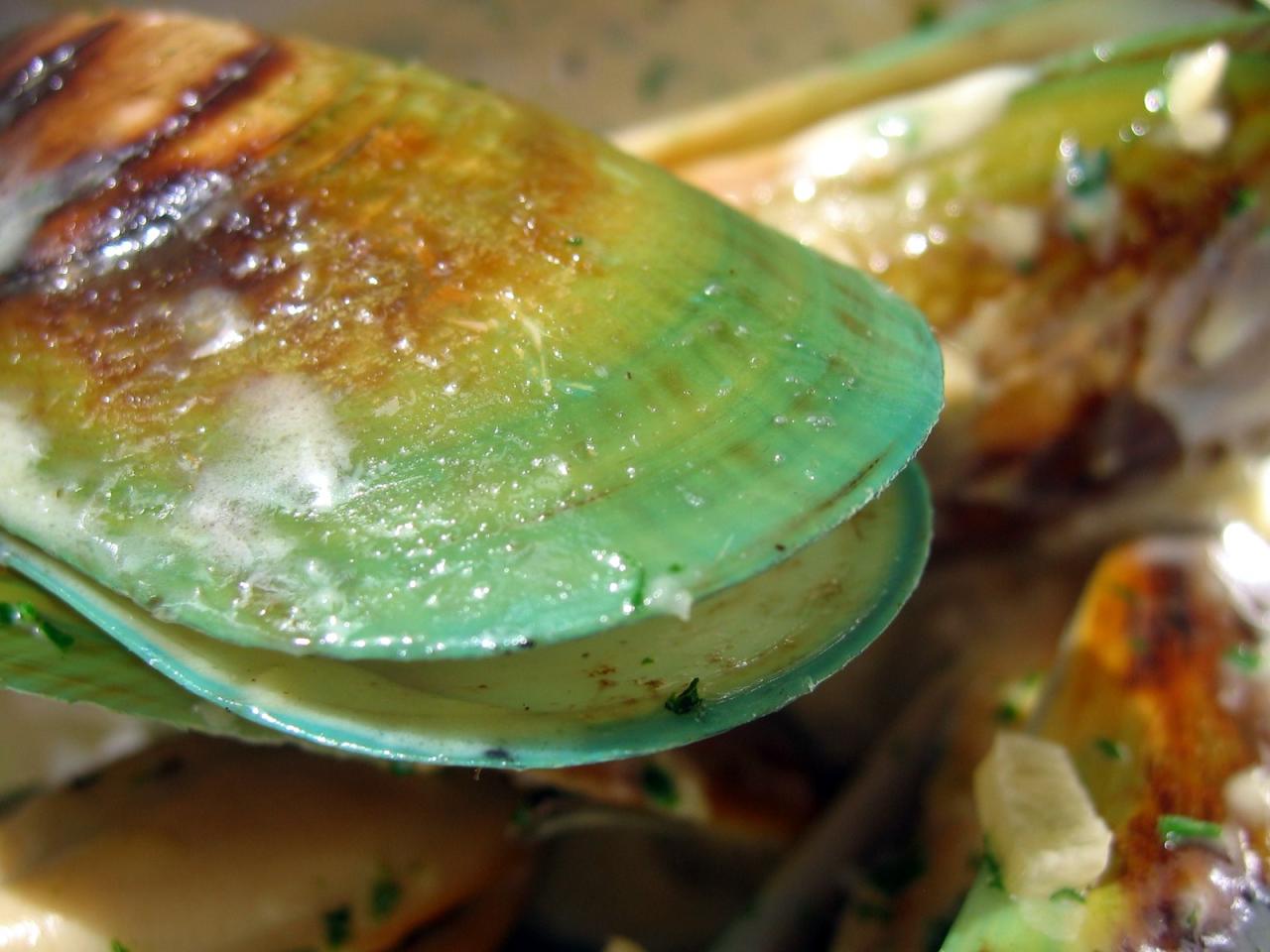 Mussels benefits nz