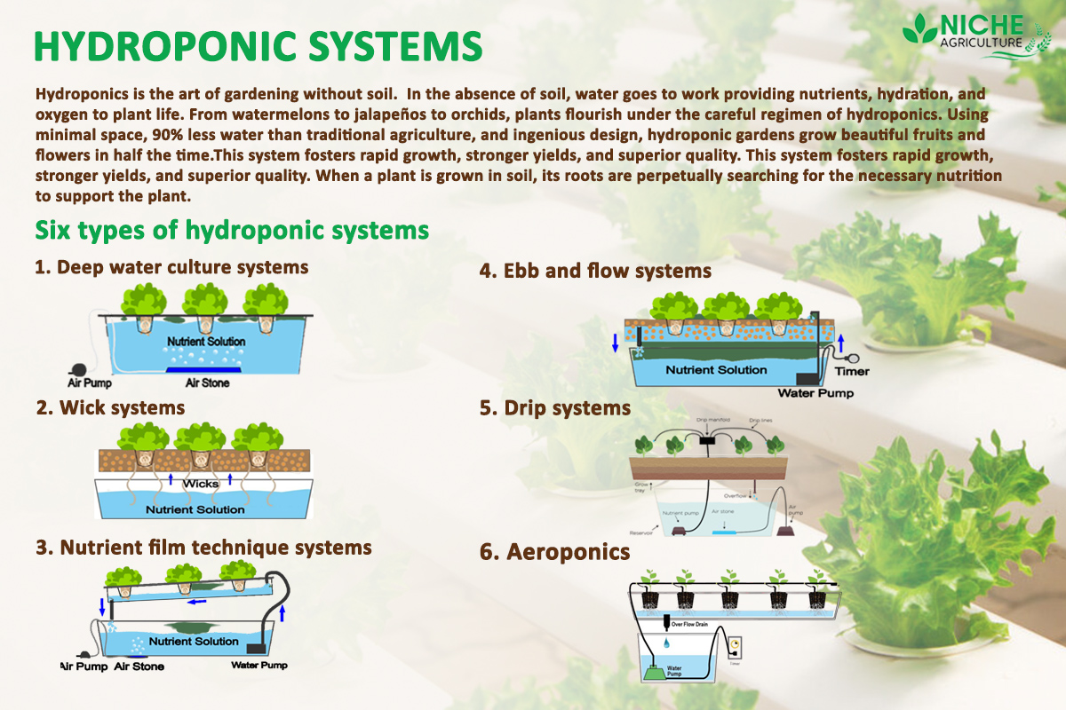 Hydroponic hydroponics picking mediums soil