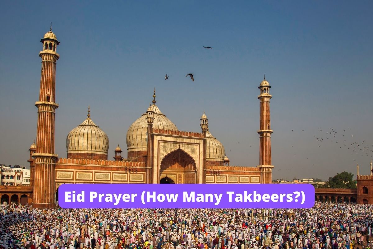 Eid adha prayer prayers attending bear