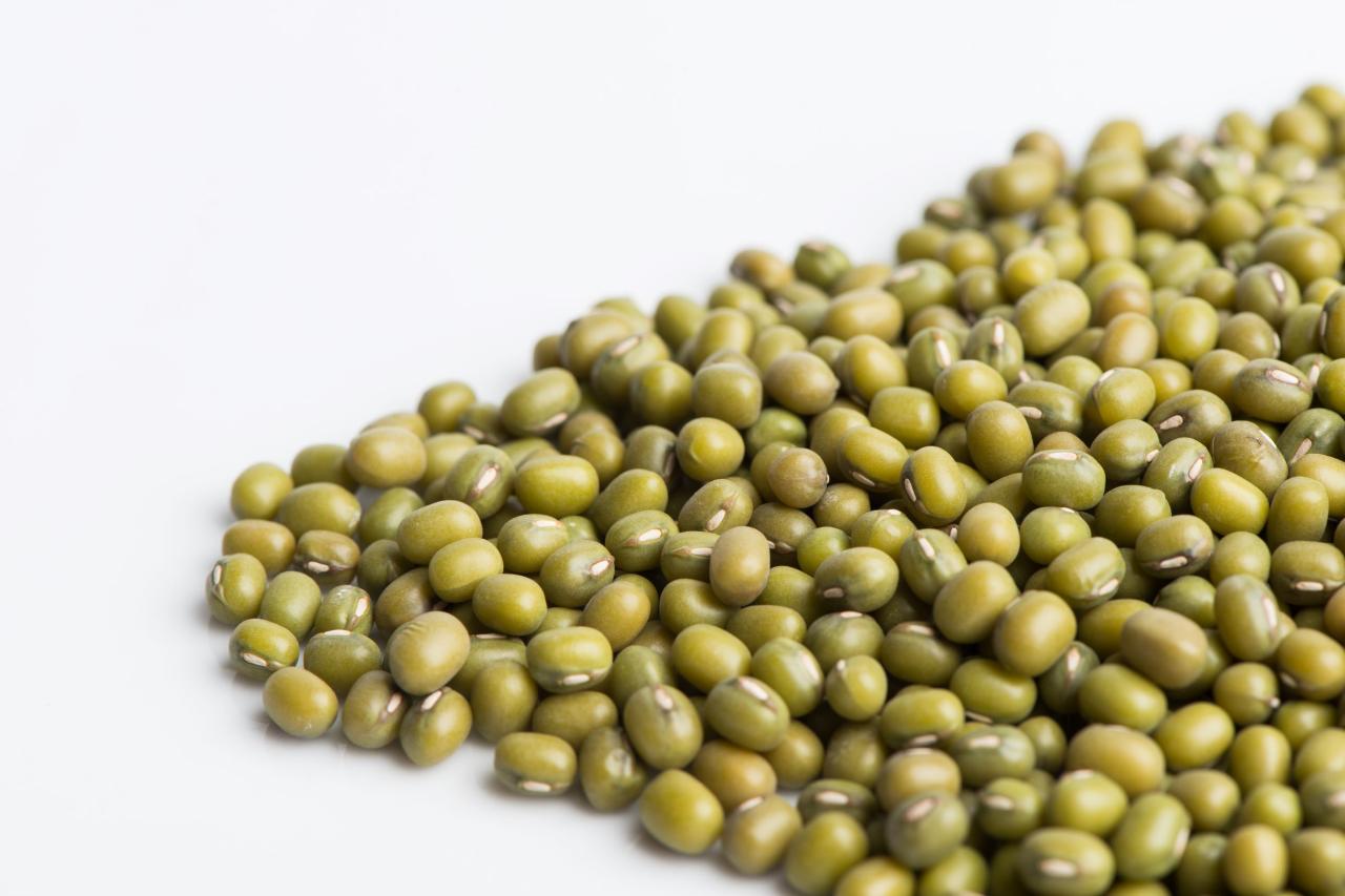Karakteristik kacang hijau