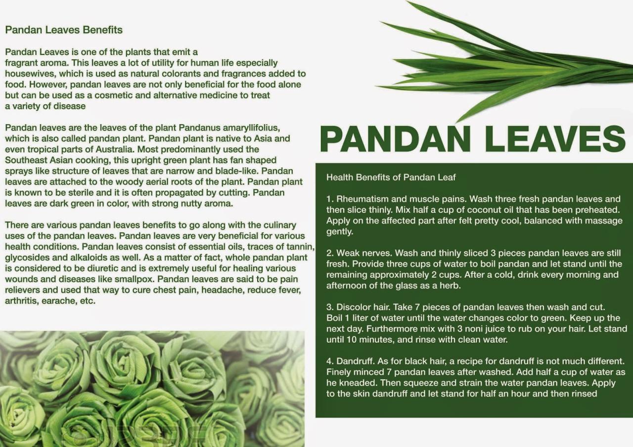 Manfaat daun pandan dan jahe