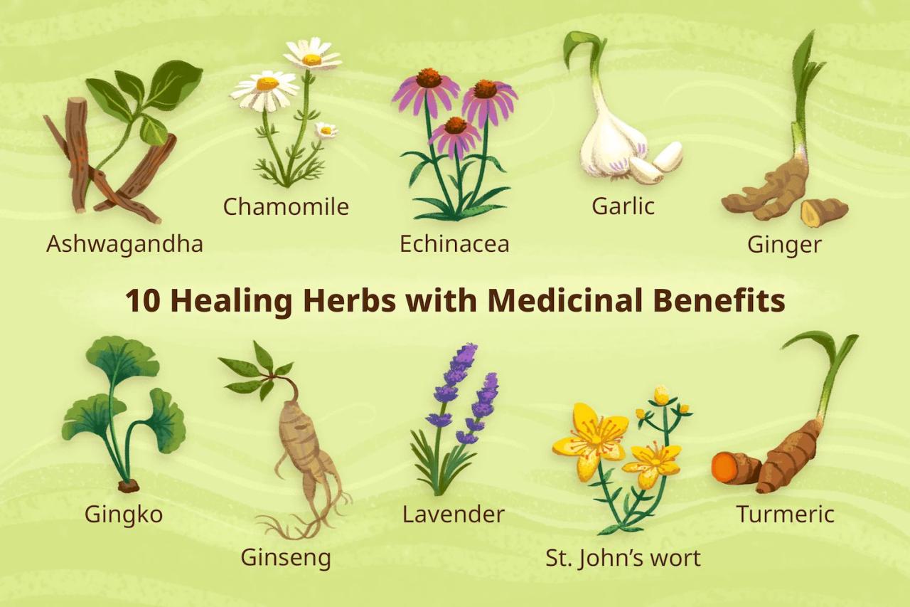 Medicinal ayurveda medicine herbal