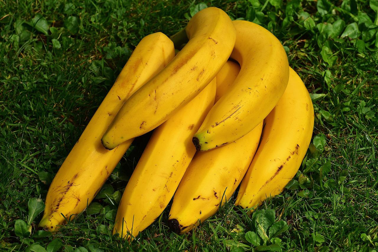 Ampar2 pisang berasal dari