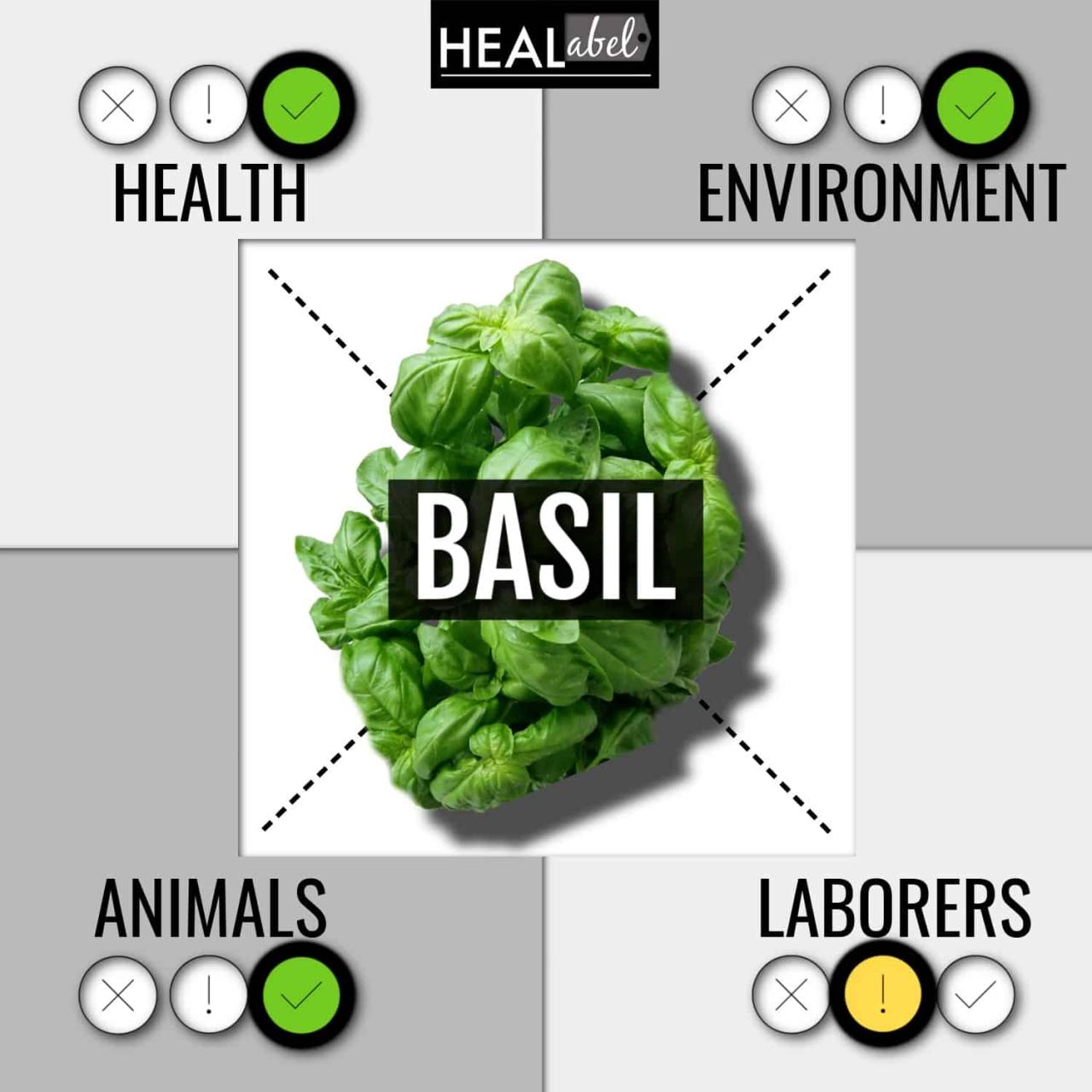 Basil herb livebetter