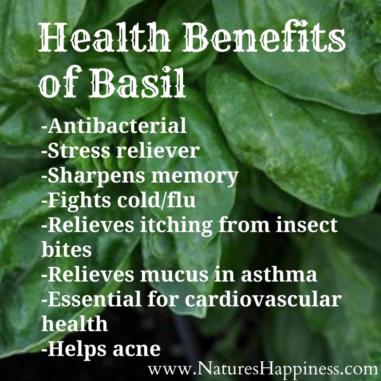 Basil leaves health benefits