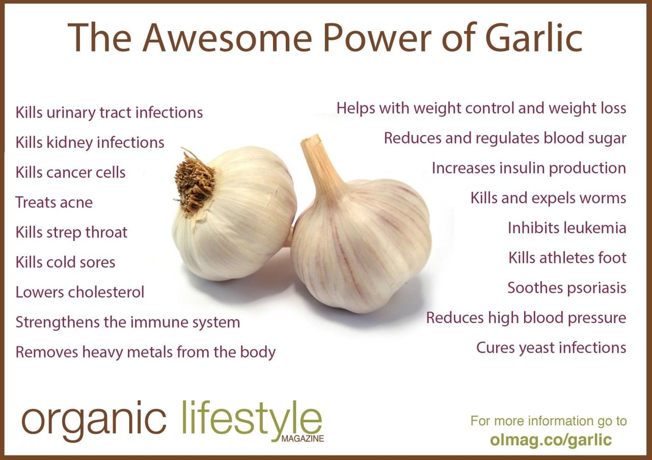 Garlic benefits health therapeutic proven infographic