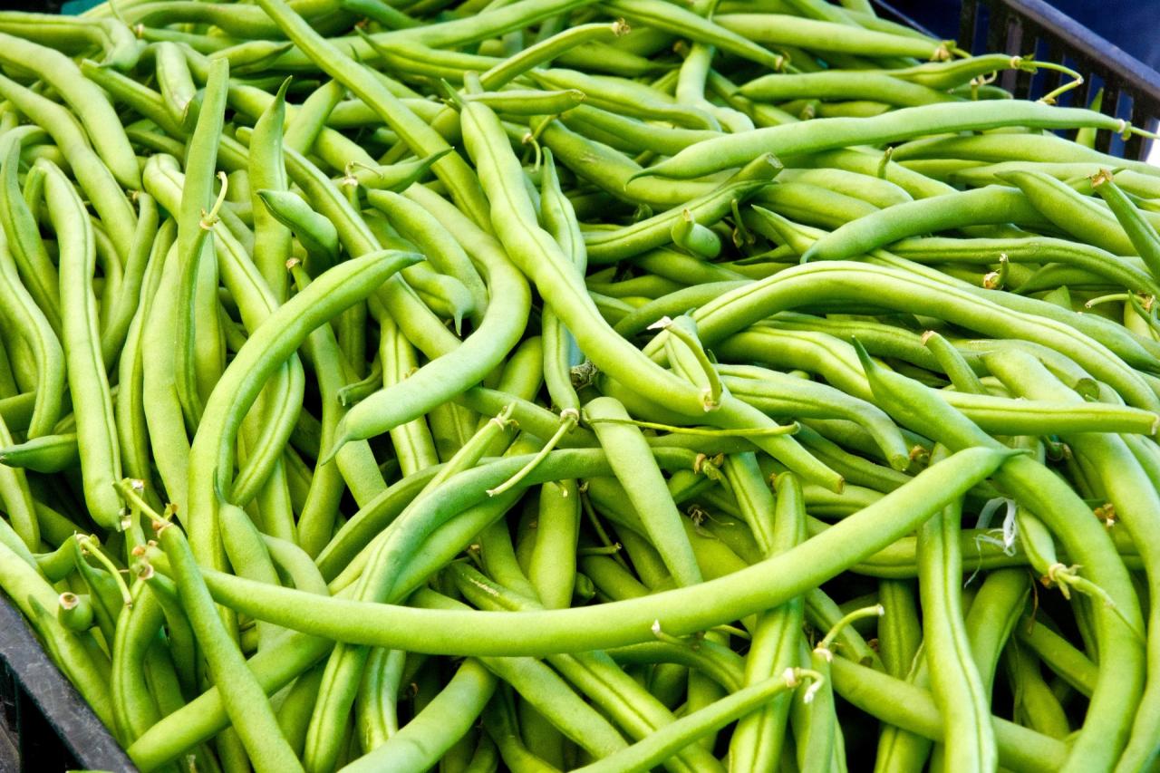 Green beans bean plant buy farm growing foodie farmer