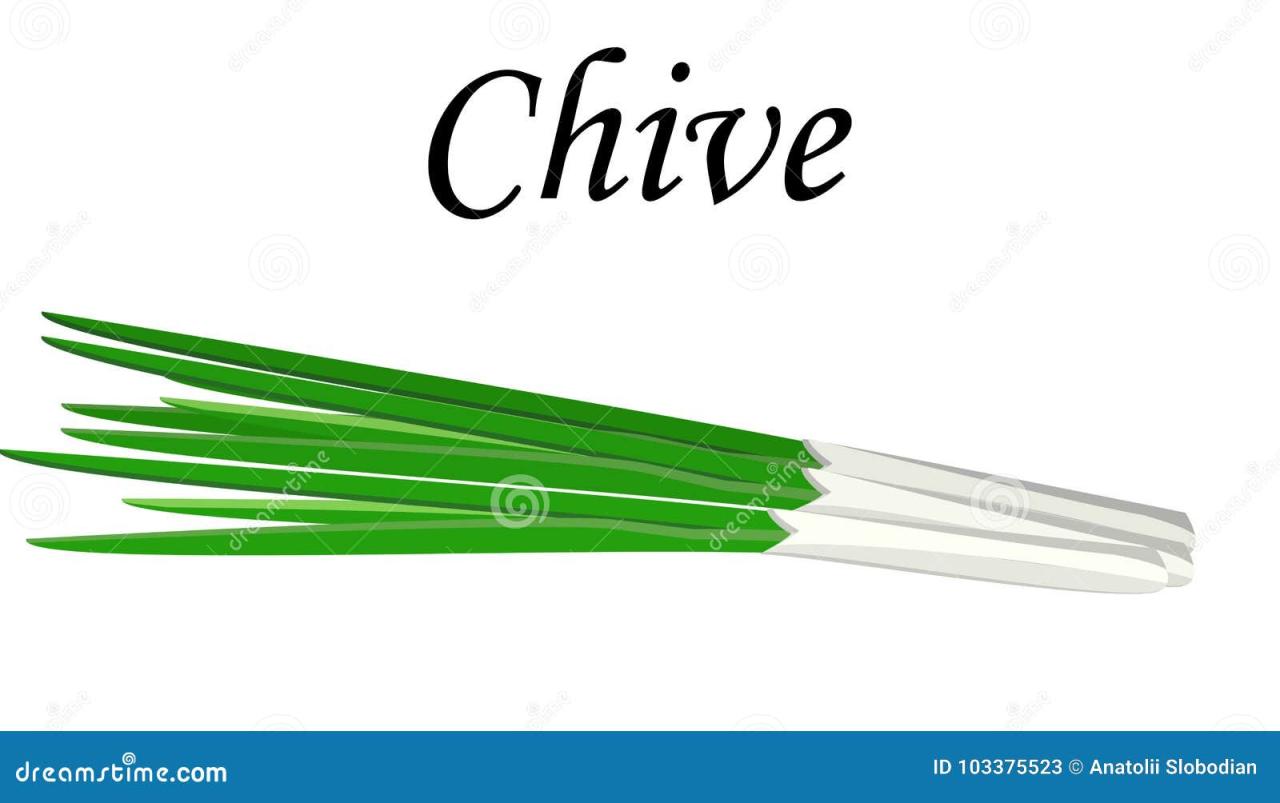 Chives herb herbs 2305 cut
