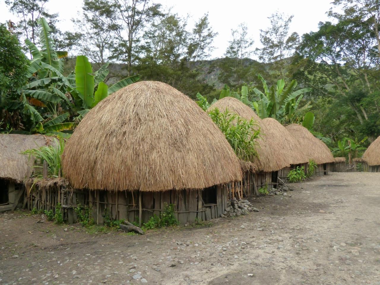 Papua adat honai suku huts nusantara