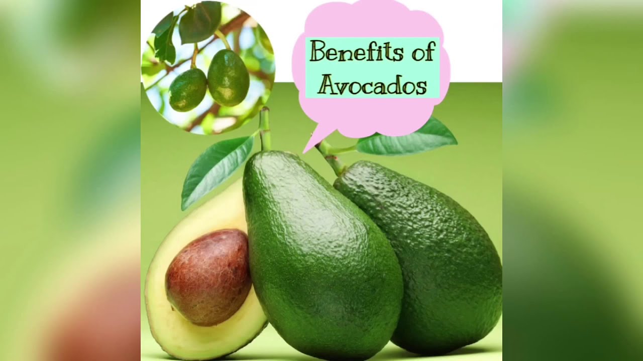Often avocado should eating start why eat