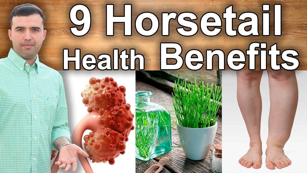 Horsetail benefits tea extract allremedies health beauty superfoods