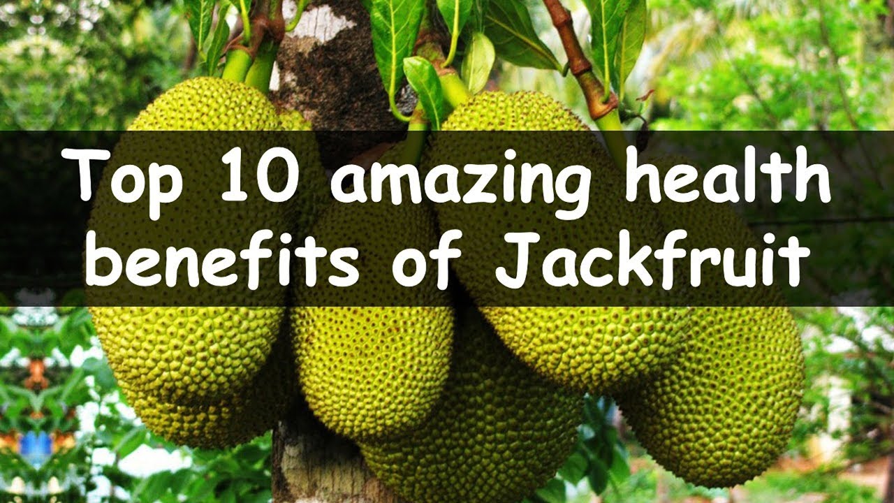 Jackfruit everything
