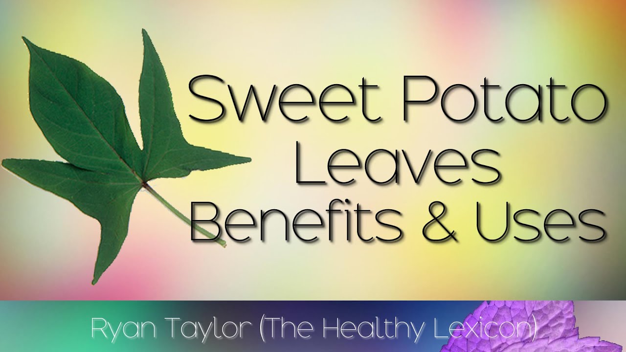 Sweet potato leaves