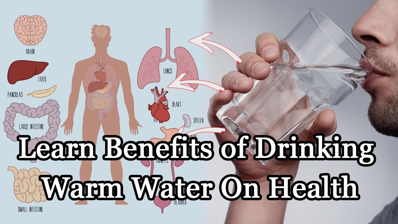 Benefits warm water drinking health