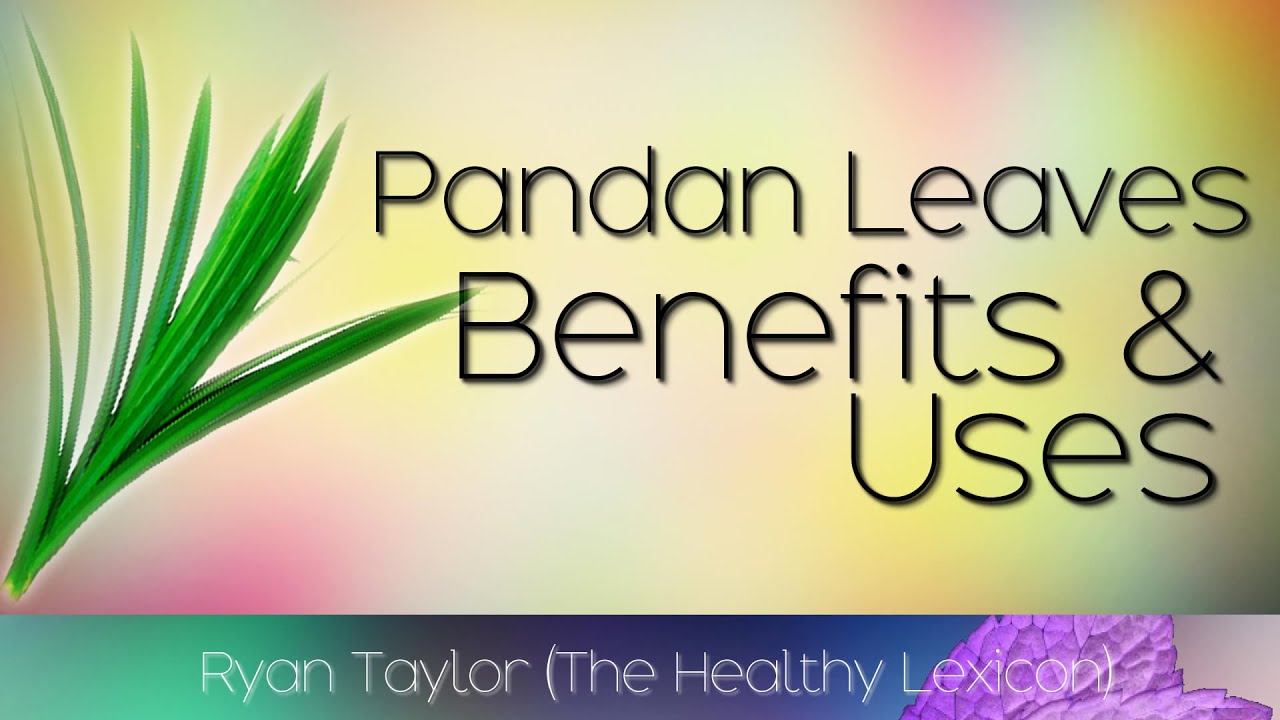Pandan leaves benefits health use ingredient cooking