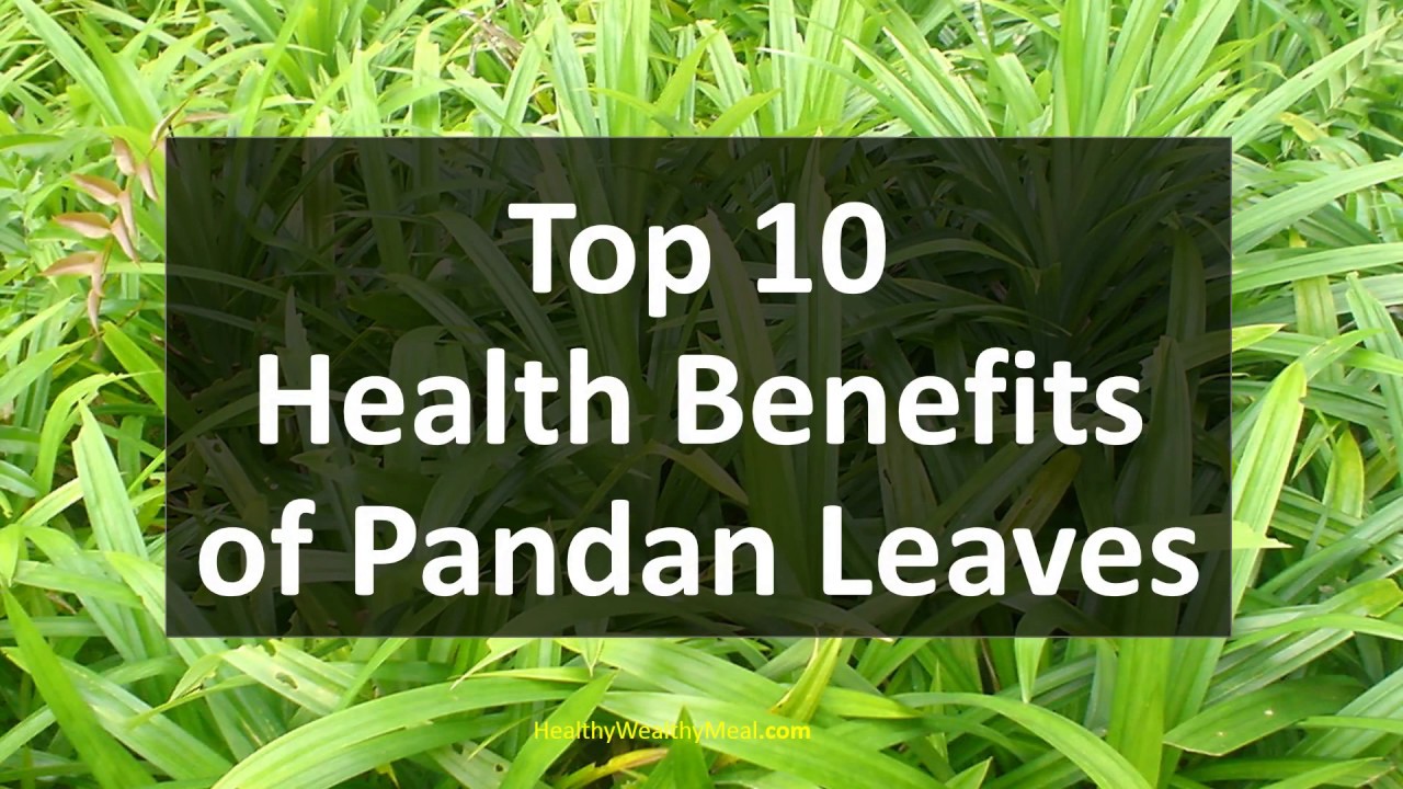Manfaat rebusan daun pandan dan jahe