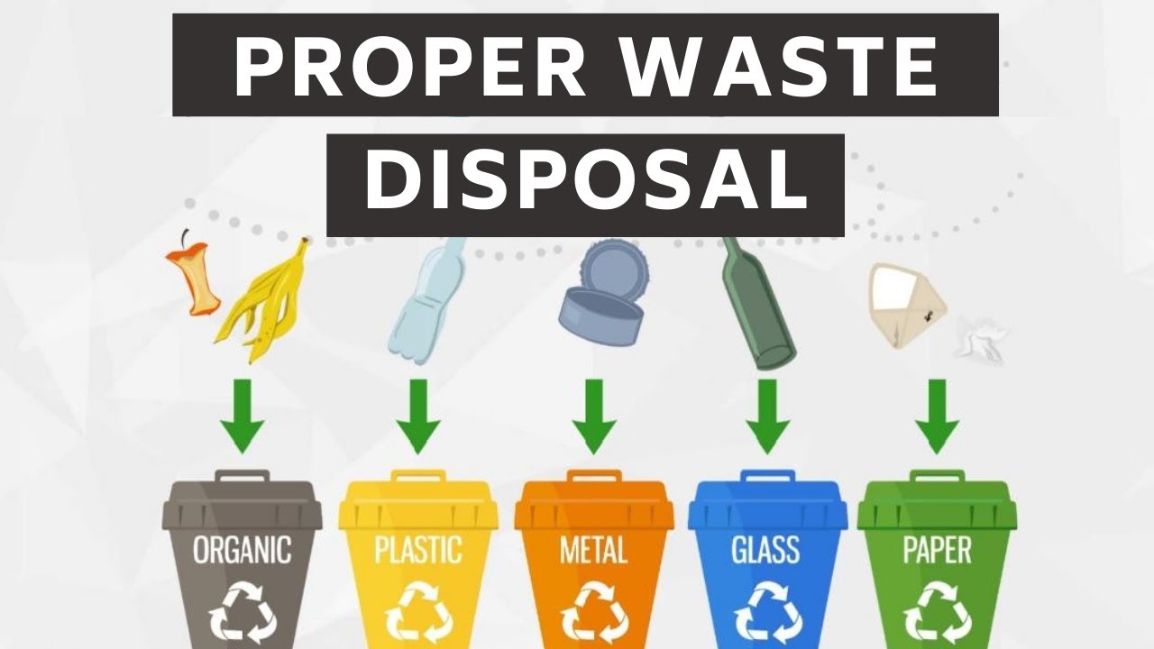 Waste recycling disposal correct return
