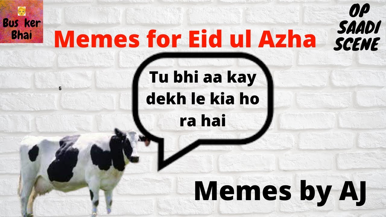 Memes eid quickmeme masterbate madly everybody laugh latest make meme mubarak ninja women