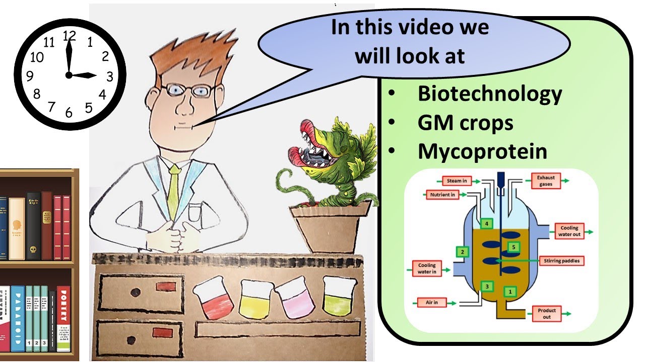 Breeding biotechnology agricultural biotech allevamento istruisca esplora laboratorio vegetale metodi genetics che shaiith thoughtco