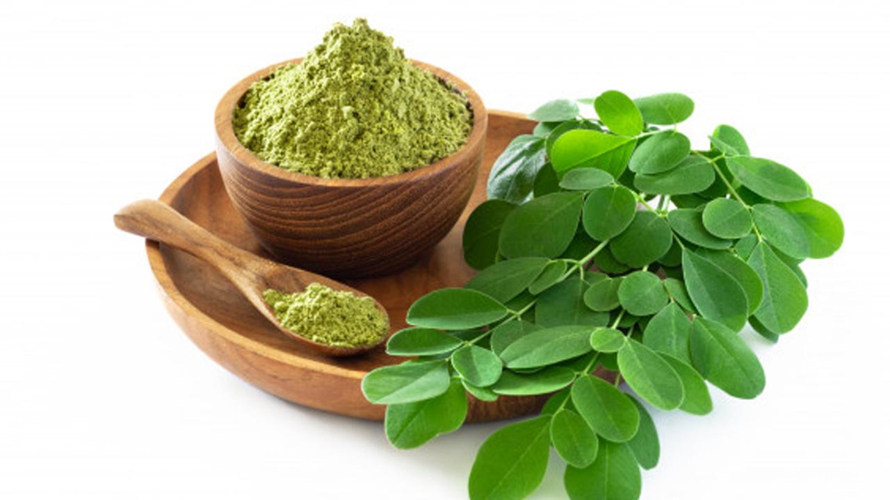 Moringa daun kelor oleifera bubuk jantung minuman suplementos alimenticios nutrition cure mineral manfaat didapat kesehatan mudah jaga
