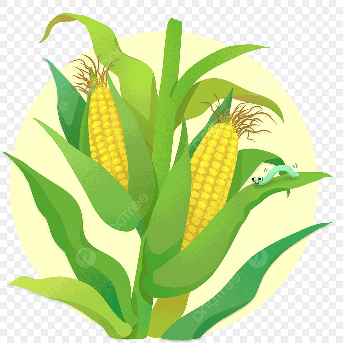 Corn clipart maize transparent yellow cut vector freepngimg pngimg resolution food library