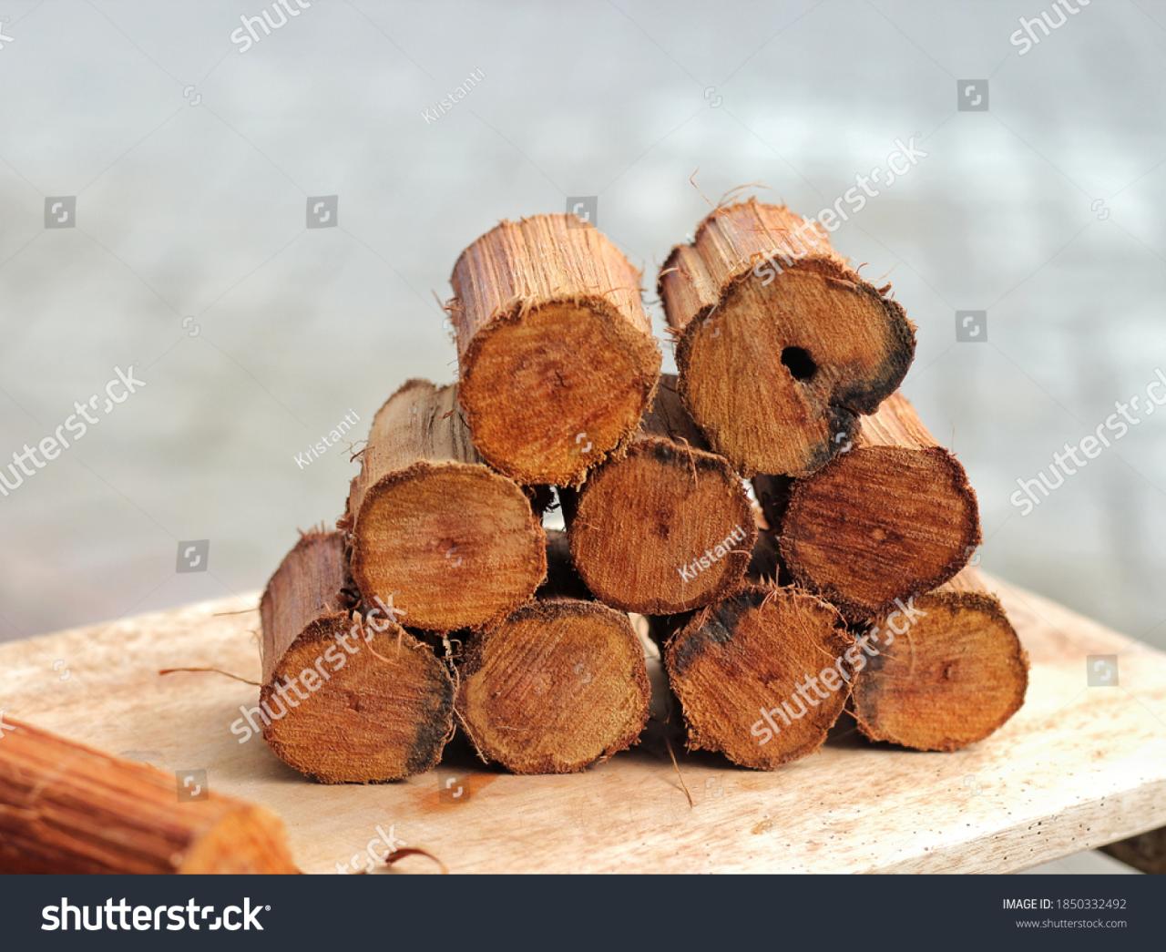 Manfaat kayu bajakah untuk asam lambung