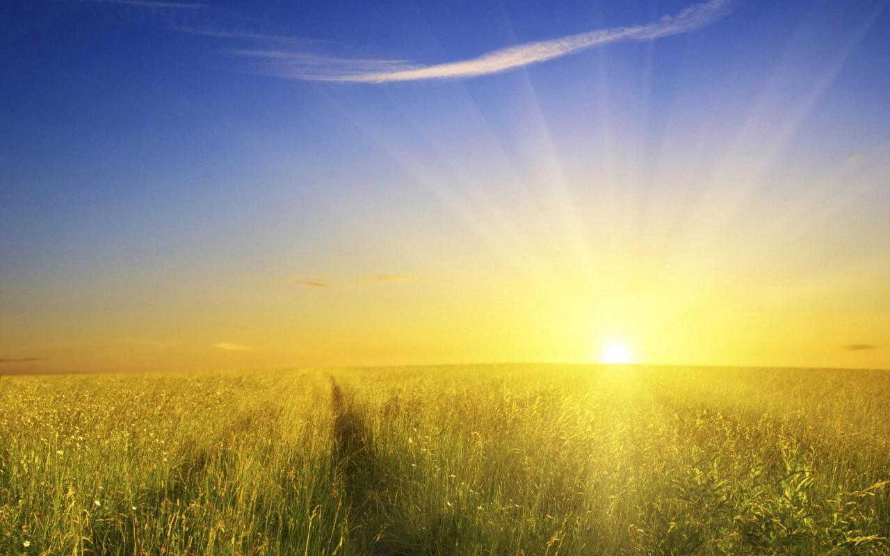 Apa manfaat sinar matahari bagi alam
