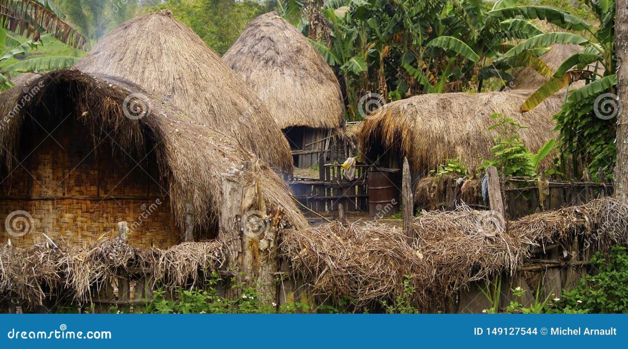 Tribe house papua indonesia dani west baliem houses village guinea architecture culture vernacular traditional peoples lembah sitting