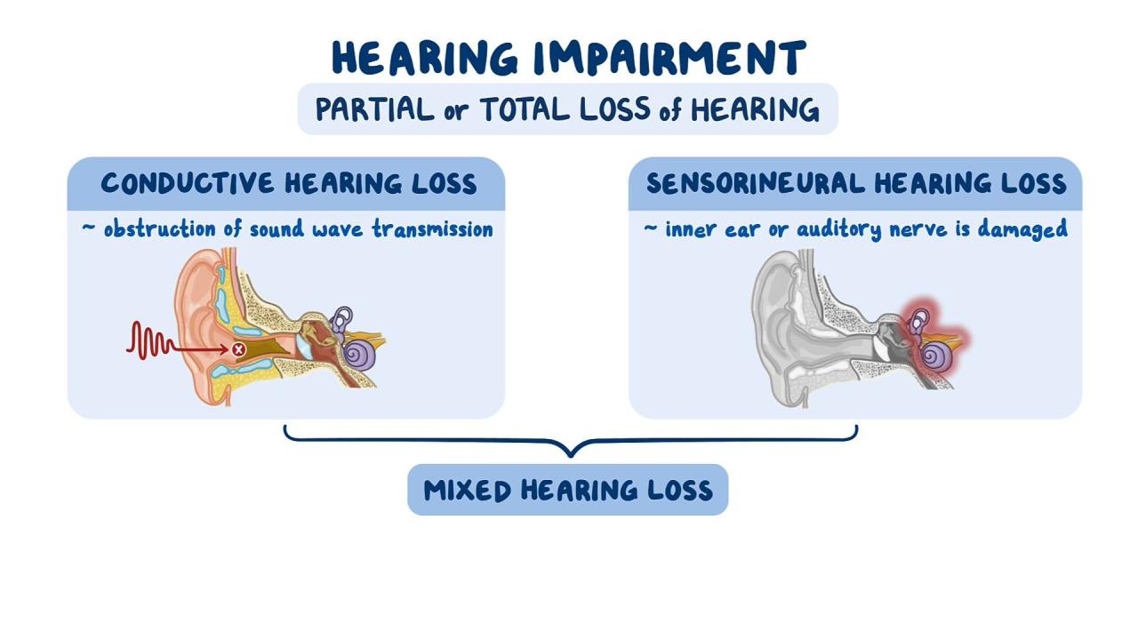 Hearing impairment impairments specialist succeed